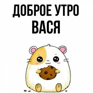 Утром вася