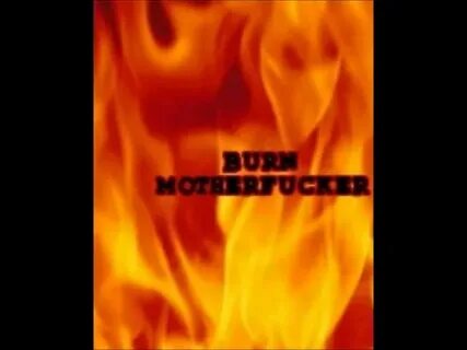 Roof is on fire bloodhound
