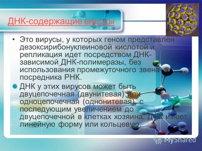 Ковид 19 кратко. Виды ДНК содержащих вирусов. Кднсодержающие вирусы. Вирусы содержат ДНК или РНК. Какие вирусы относятся к ДНК содержащим.