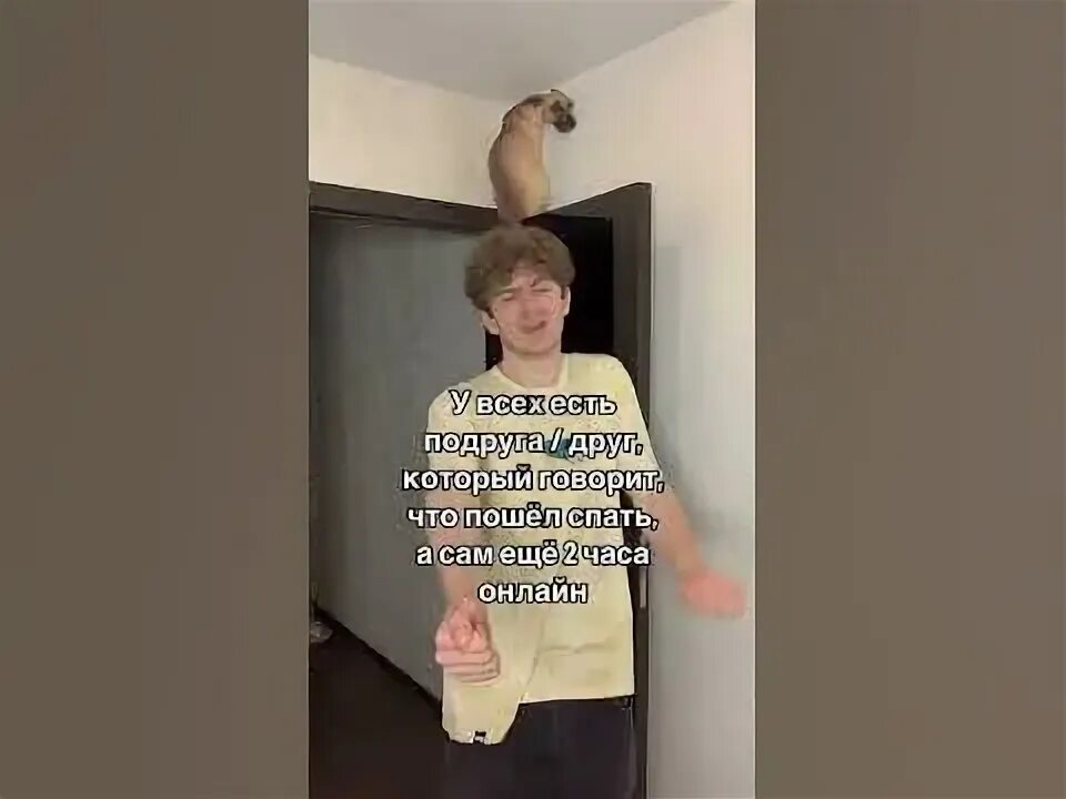 Кадыров извинись мем. Кадыров извинись мем. Эрон дон дон подними свой телефон. Эрон дон дон подними свой телефон. Рамзан кадыров мем.