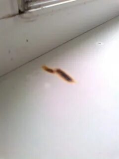 Желтое пятно на пластиковом подоконнике