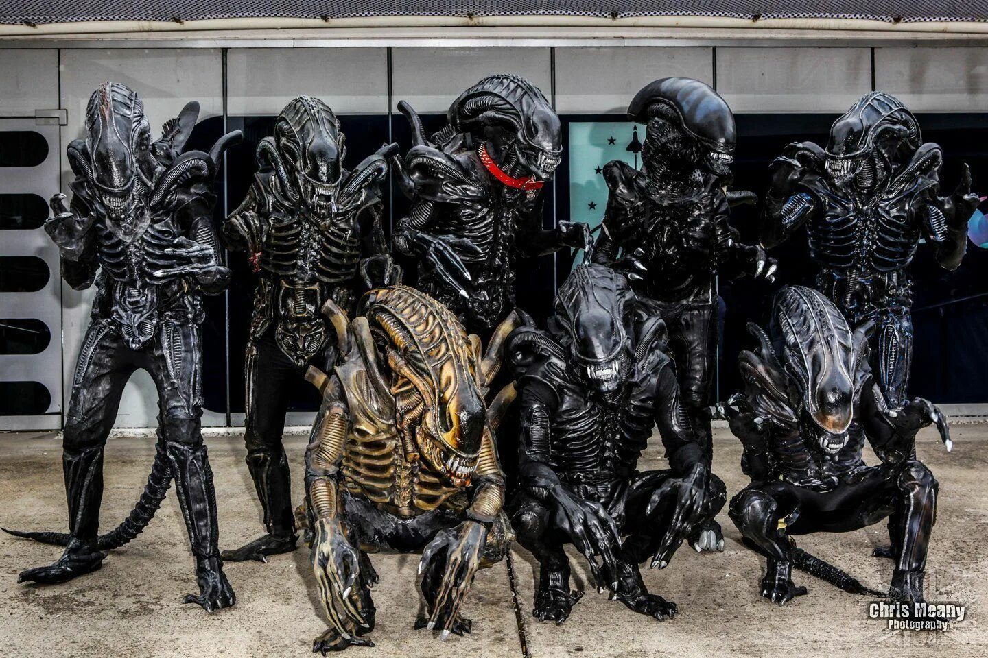 Чужой 1 ксеноморф. Вторая челюсть ксеноморфа. Xenomorph косплей. Чужой 1 ксеноморф. Преторианец чужой.