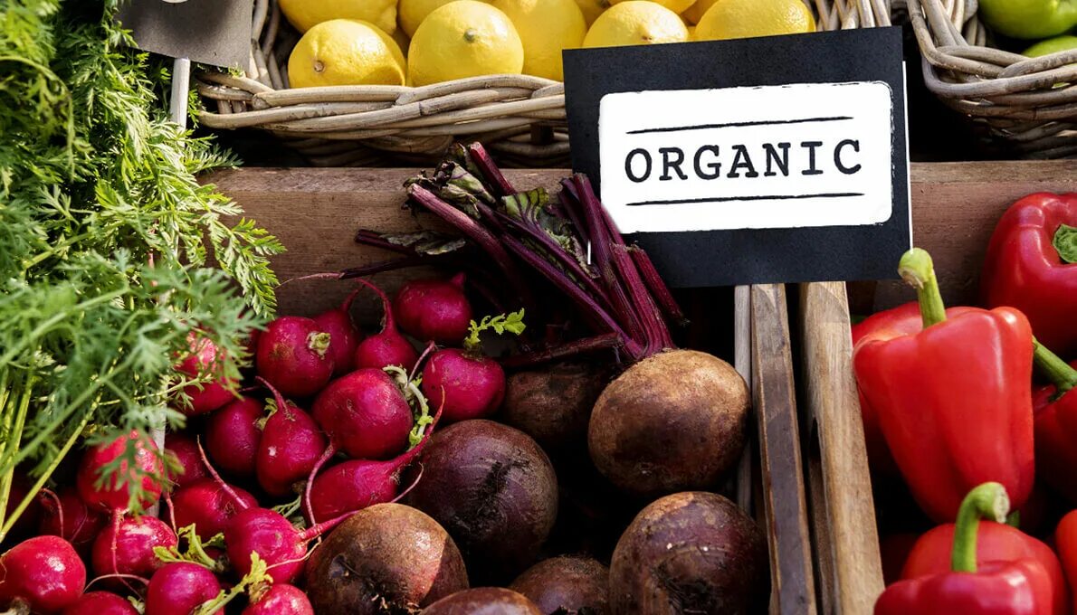 Органическая продукция. Органическое сельское хозяйство. Organic продукты. Органическая продукция. Органическое производство продуктов.