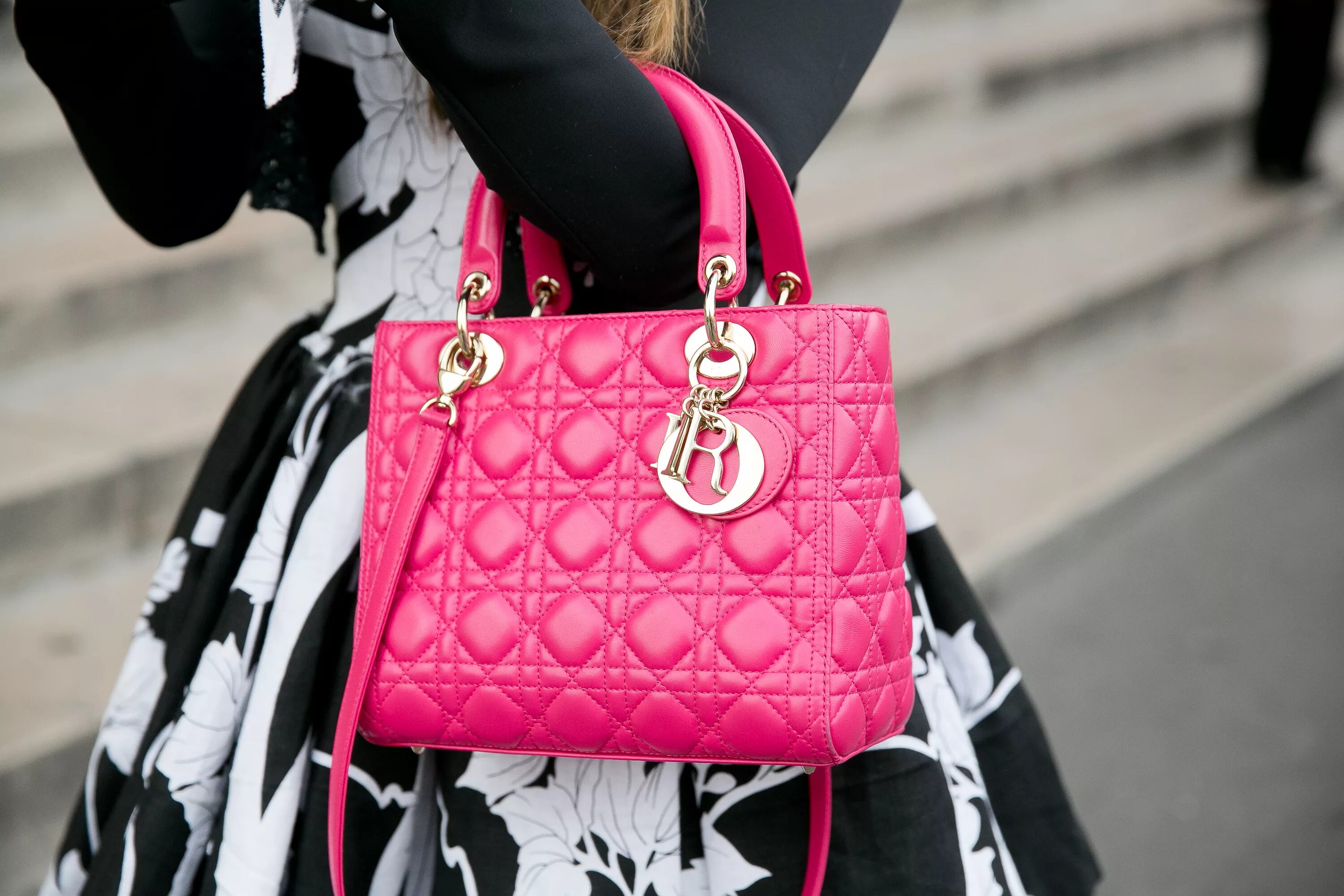 Сумка фото. Сумочка леди диор. Lady Dior Handbag. Dior Lady Dior. Сумка диор большая.