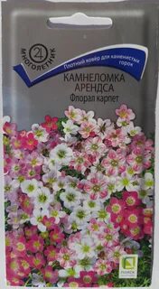 Камнеломка флорал карпет