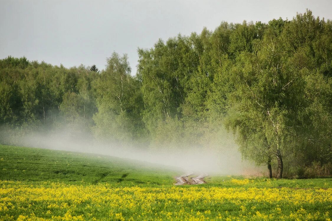 Какое будет лето в беларуси. Белоруссия природа. 22 Мая природа. Май в Беларуси природа.