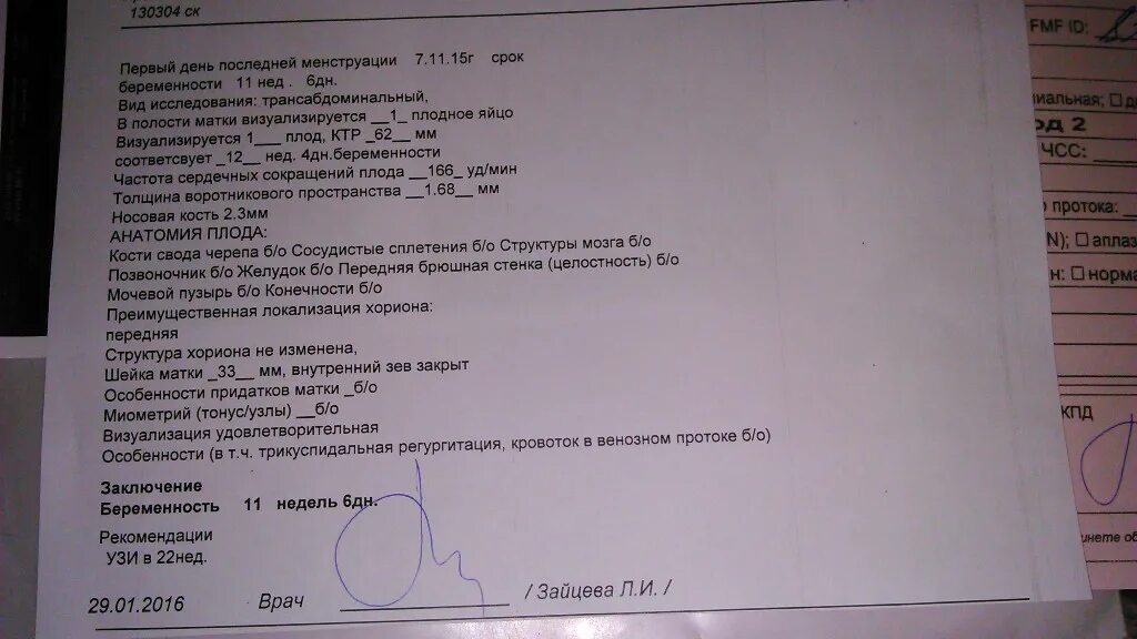 УЗИ 13 недель нормы. УЗИ скрининг ТВП. Норма воротникового пространства 1 скрининг. УЗИ В 12 недель беременности нормы. Зев закрыт при беременности