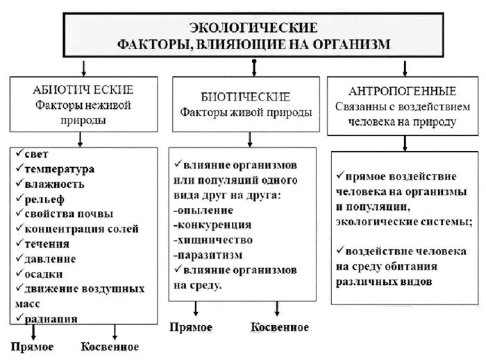 Примеры факторов связанные с человеком. Схема экологические факторы среды. Абиотические факторы окружающей среды схема. Экологические факторы среды влияющие на живой организм. Схема абиотических и биотических факторов.