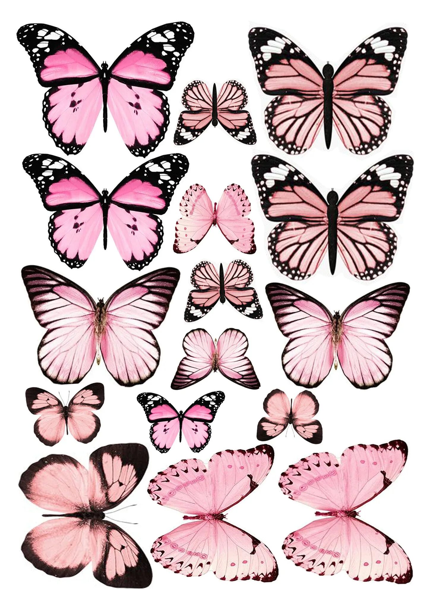 Вафельные бабочки. Розовые бабочки. Бабочки для печати на вафельной бумаге. Бабочки для печати на сахарной бумаге. Бабочки для торта картинки для печати