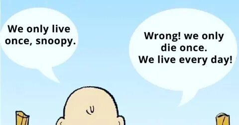 We live once