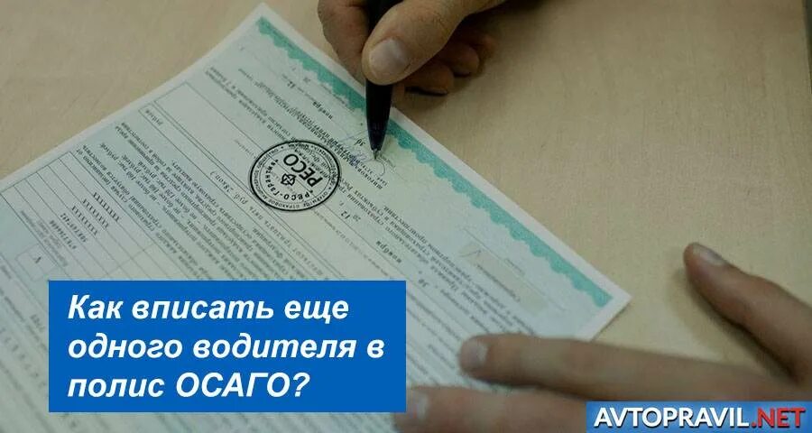 Сколько можно вписывать в страховку. Вписать в страховку. Полис ОСАГО С вписанным водителем. Вписать в страховку еще одного водителя. Страховка с вписанным человеком.