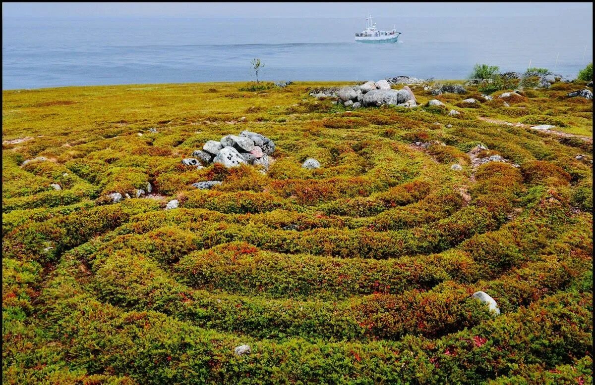 Соловецкие острова это крупнейший архипелаг. Соловецкие острова рельеф. соловецкий архипелаг природа. тундра соловки. ландшафт соловков.