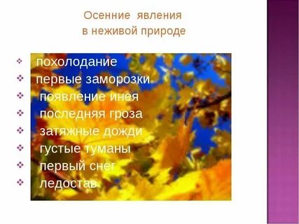 Листопад это живая или неживая