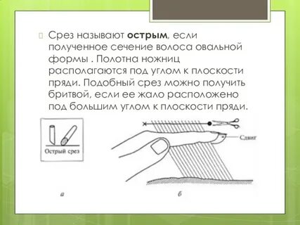 Виды срезов