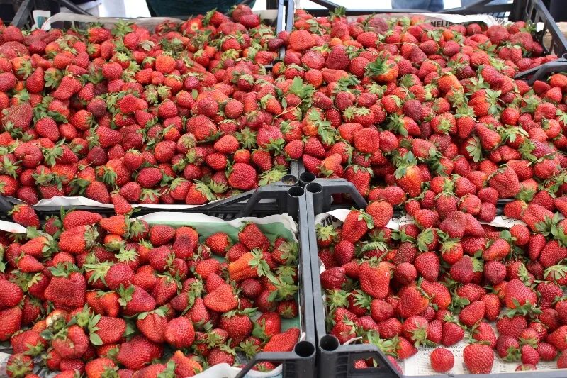 Клубника на рынке. Sell sweets market strawberry. Кг клубники. Продавец клубники. Клубника на рынке фото.