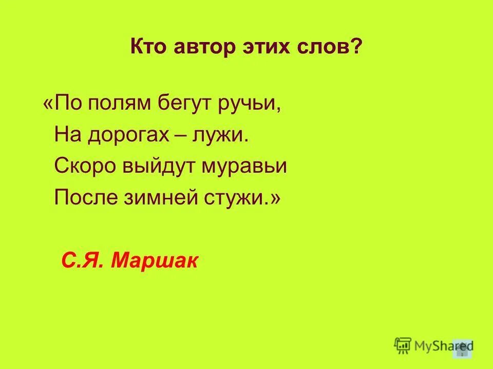 На дорогах лужи скоро выйдут муравьи