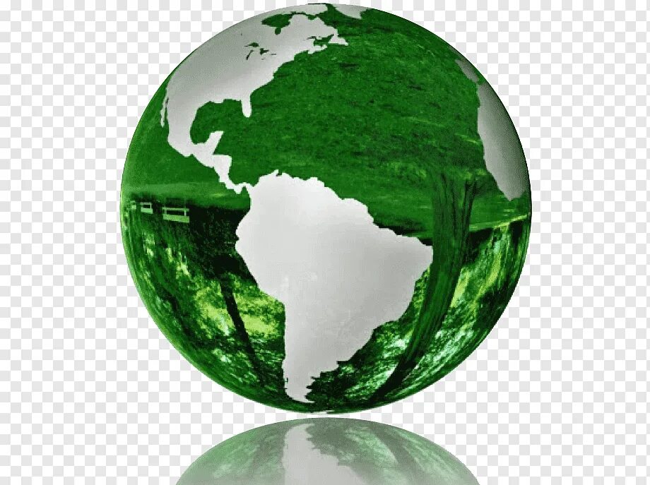 Глобус земли. Зелёная Планета Глобус 🌐. Зеленый Глобус на белом фоне.