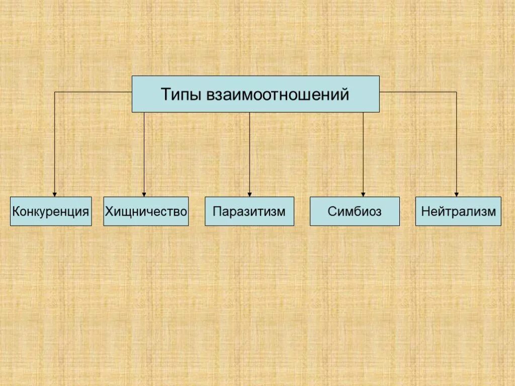 Типы взаимоотношений хищничество паразитизм. Типы взаимоотношений паразитизм симбиоз хищничество. Типы взаимоотношений конкуренция паразитизм симбиоз. Тип взаимодействия хищничество.