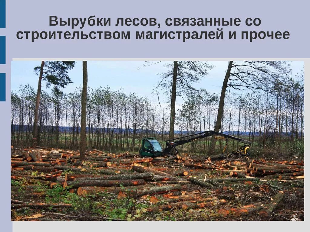 Вырубка лесов экологическая проблема. Вырубка лесов влияние на. Причины вырубки лесов. Вырубка лесов приводит к. Последствия исчезновения лесов.