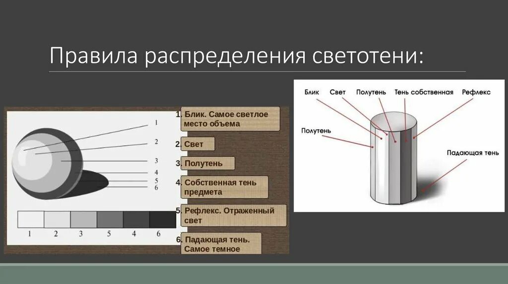 Элементами называют объекты. Освещение свет и тень. Светотень на предмете. Градации светотени в рисунке. Распределение света и тени.