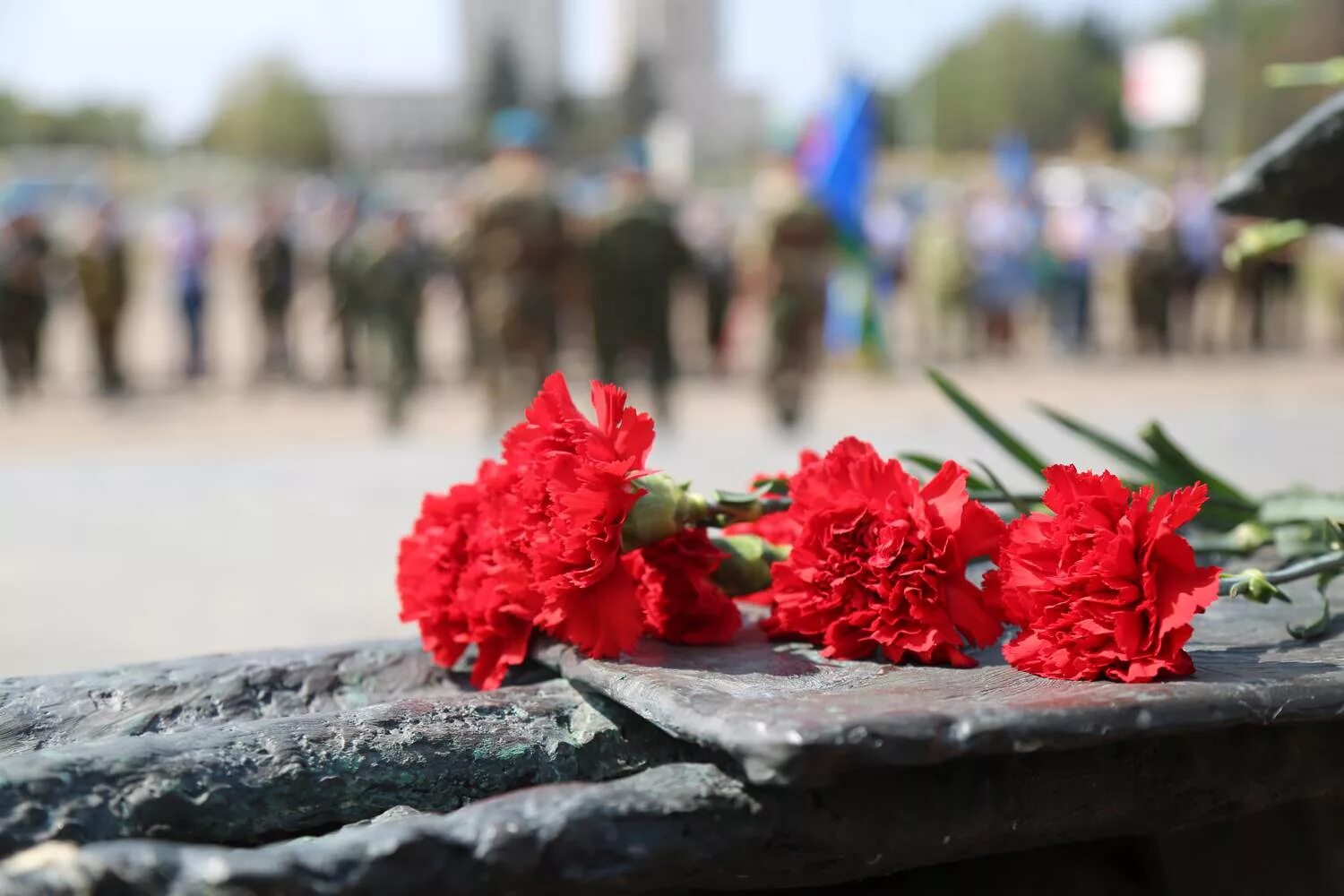 День памяти войне. Воины интернационалисты гвоздики. Гвоздики у вечного огня. Гвоздики на мемориале. Гвоздика день Победы.