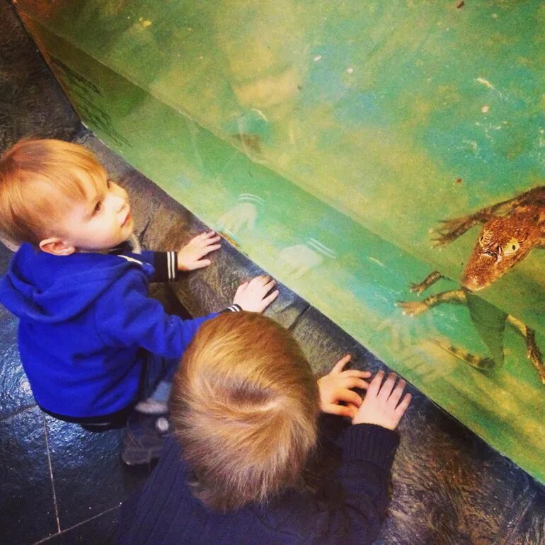 Брянский бык ресторан лубянка 24. The бык ресторан москва страстной бульвар. Зе бык. Зе бык рио дмитровка открытие. Московский океанариум в тц рио.