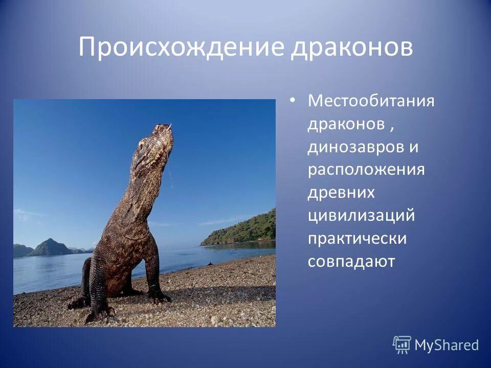 что олицетворяет дракон. Draakon. дракон происхождение слова. дракон откуда произошло. дракон происхождение слова.