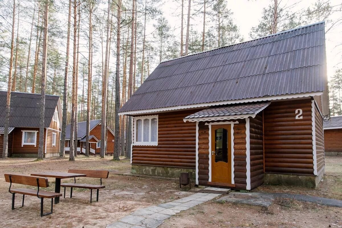 База отдыха ветлуга шарья. Кострома база отдыха лунёво. Прибрежный кострома база отдыха. Ветлуга база отдыха костромская. Костромские турбазы.