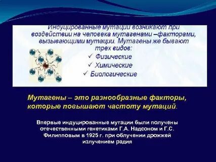 Почему хозяйственная деятельность человека увеличивает мутагенное влияние