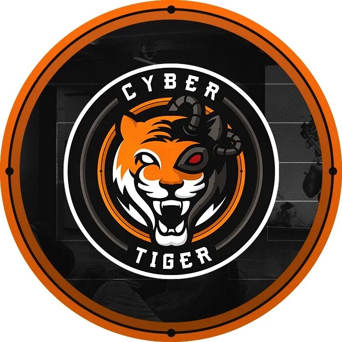 Тайгер москва. Кибер тигр. Кибернетический тигр. Компьютерный клуб Cyber Tiger. Компьютерный клуб Tiger на Озерной.