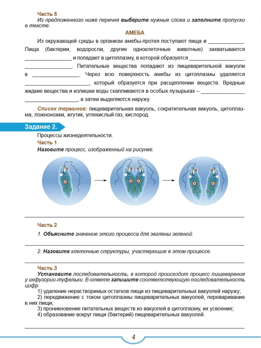 Варианты впр по биологии 7 класс животные. Апр по биологии 7 класс. ВПР биология животные. ВПР по биологии 7 класс животные. ВПР по биологии 7 класс биология.