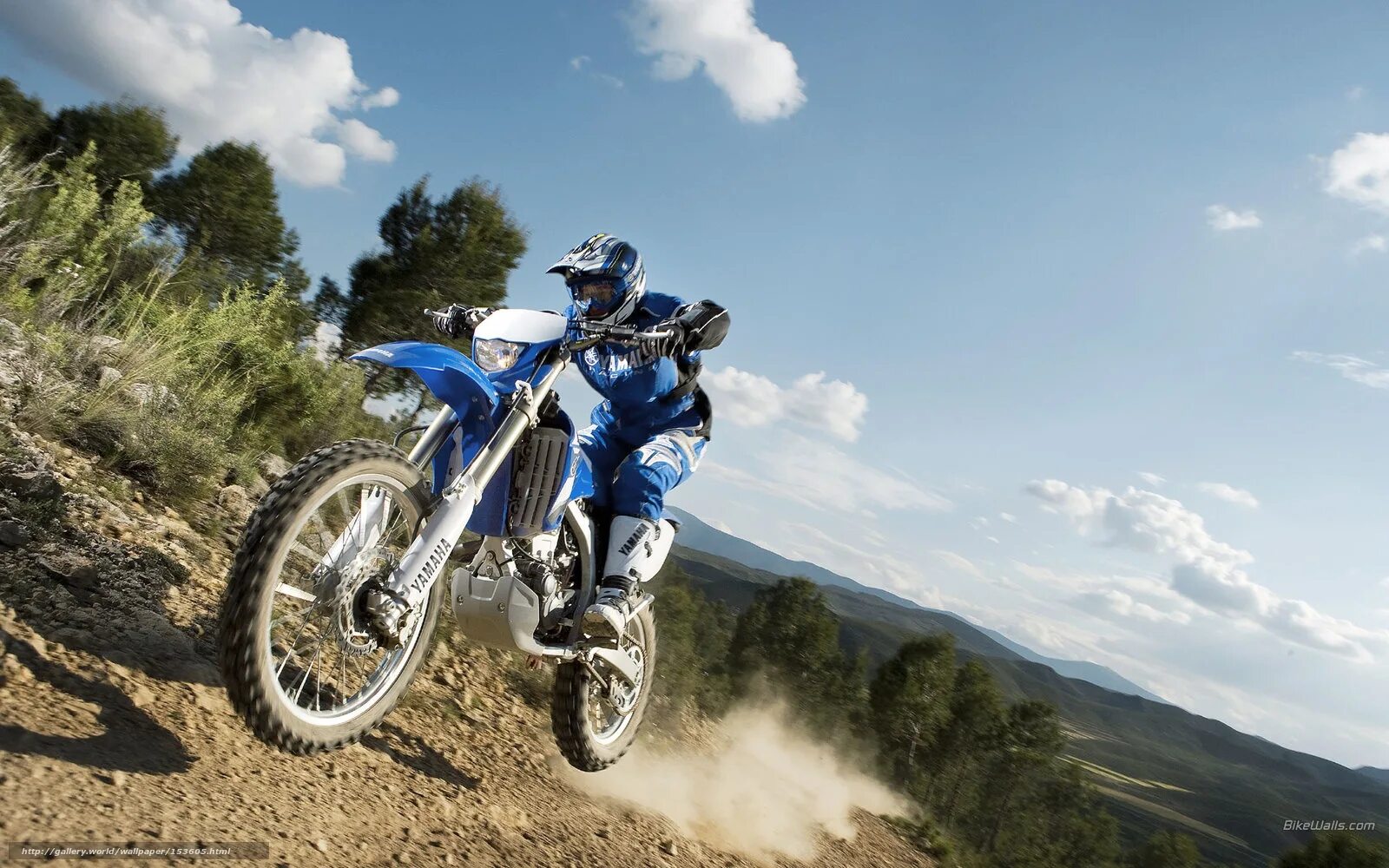 Yamaha wr250f 2008. Мотоцикл Yamaha wr250f. Yamaha wr250f 2011. Yamaha wr250f 2020. Покажи эндуро