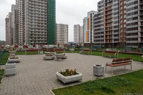 Петербург деревня