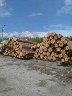 Продам лес