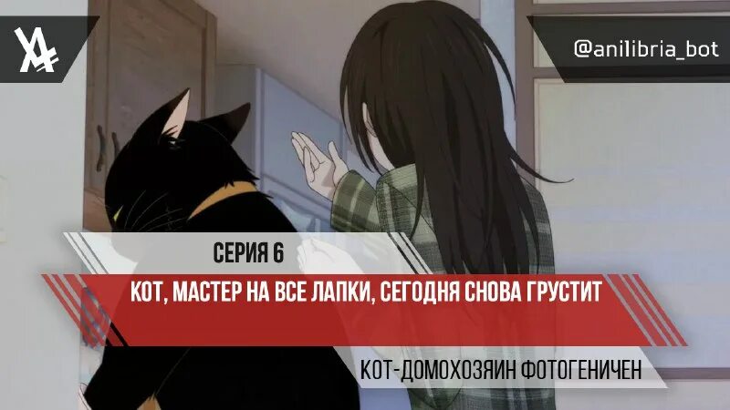 Кот мастер на все лапки дата выхода. Кот мастер на все лапки дата выхода