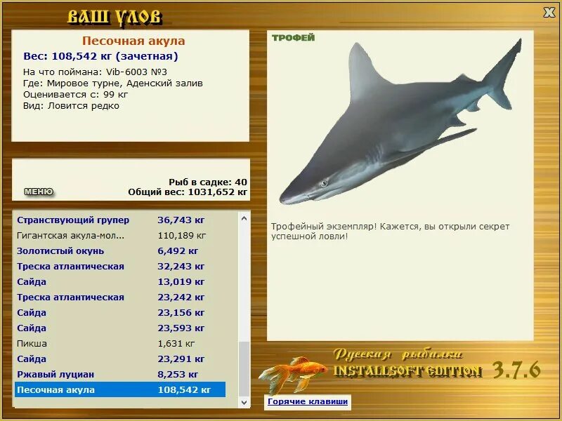 вес акулы. сколько весит большая акула. вес акулы. акула размеры и вес. акула белая, акула-людоед, кархародон.