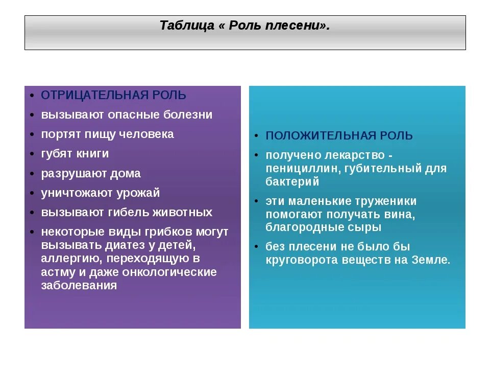 Минусы бактерий. Роль грибов плюсы и минусы. Положительные стороны плесневых грибов и отрицательные. Грибы плюсы и минусы. Плюсы и минусы плесневых грибов.