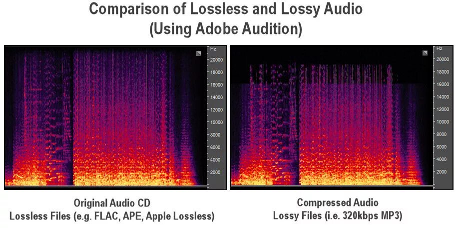 FLAC Формат. Lossless звук. Lossless изображение. Lossy и lossless что это.