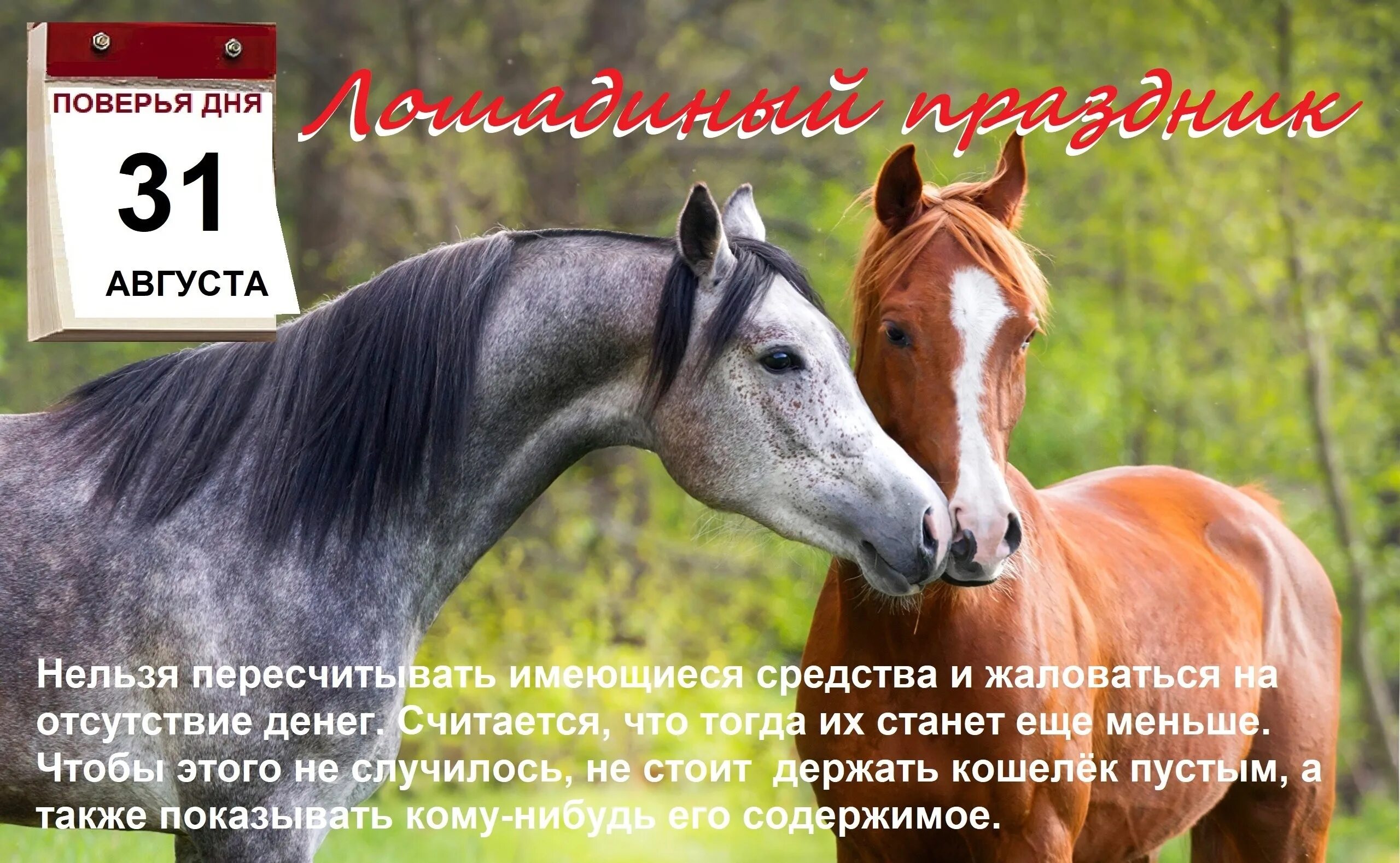 31 августа 2018 г. День лошади. Праздник день лошади. День защиты лошадей. 31 Августа праздник.