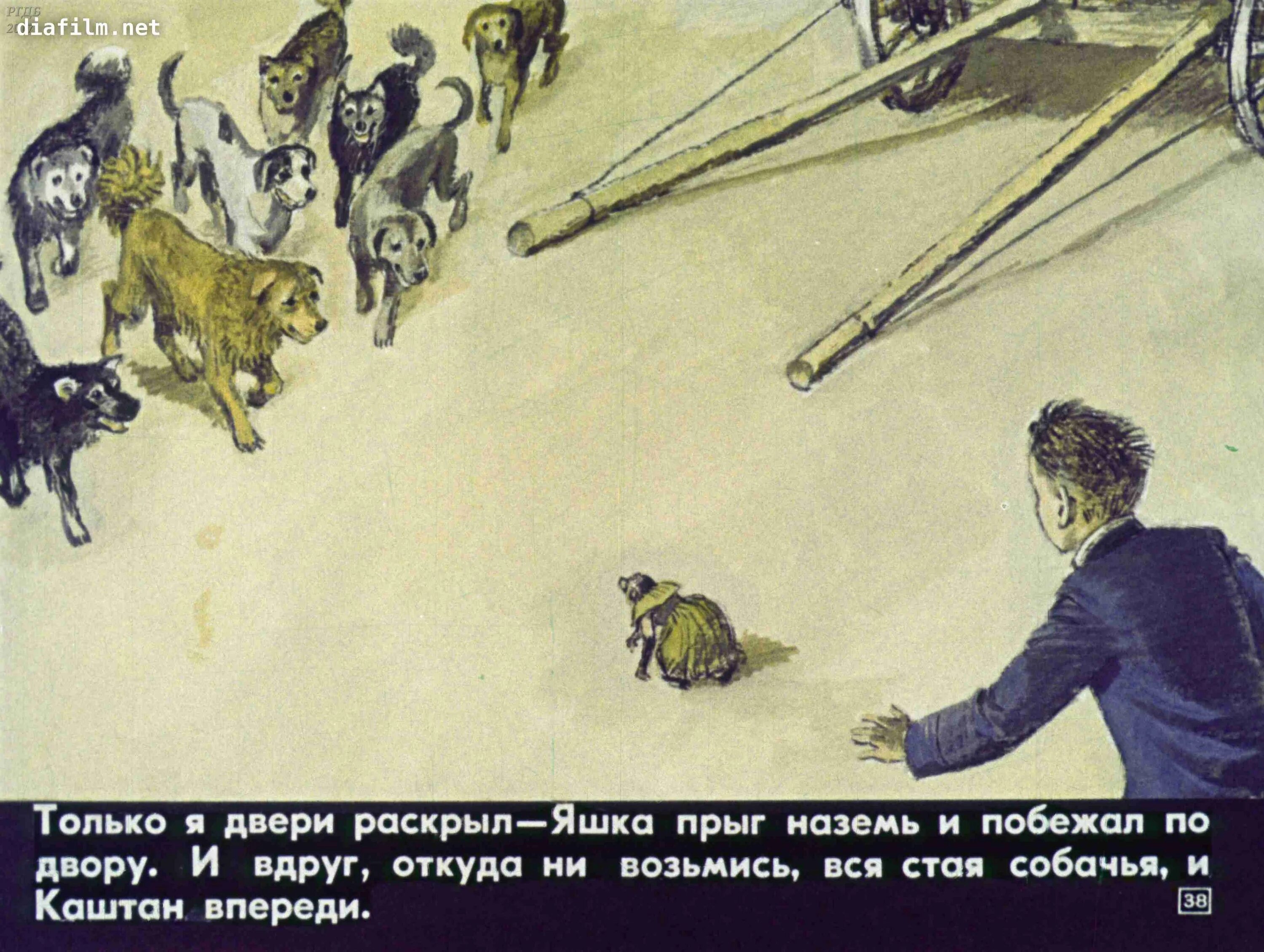 Отрывок про обезьянку. Иллюстрация к рассказу Бориса Житкова про обезьянку.