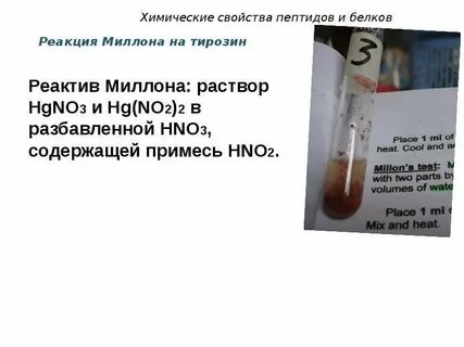 Реагент белка