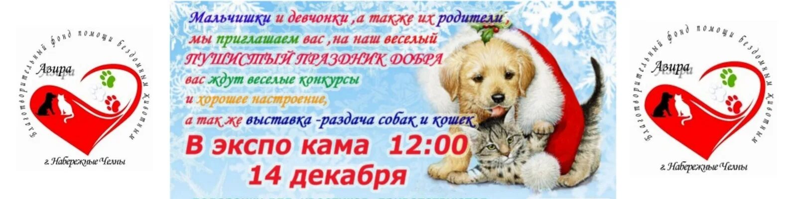 Наб. Приют азира набережные челны. Приют азира набережные. Приют азира набережные челны. Пятая точка у корги не тонет.