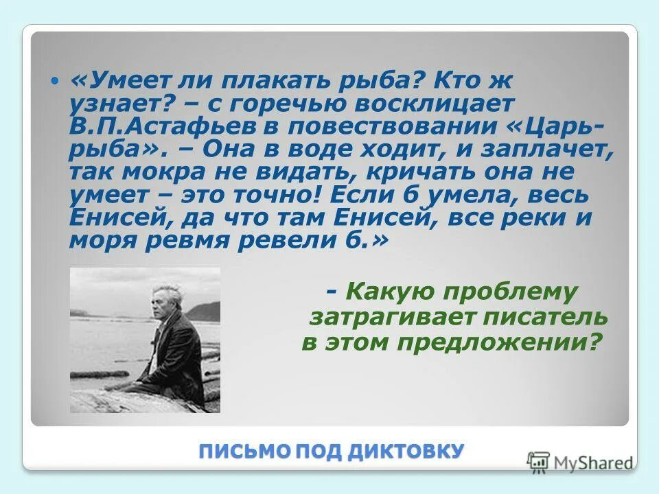 Песня рыба не плачу не смеюсь. Умеет ли плакать рыба астафьев. как понять что рыба плачет.