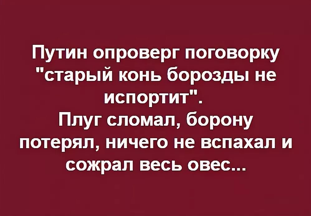 Стырй коньб борозды неиспротит. Старый конь борозды не вспашет. Старый конь борозды не вспашет. Поговорка старый конь борозды. Стырй коньб борозды неиспротит.
