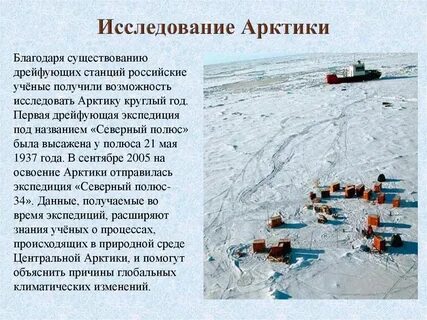 По данным исследователей в арктических почвах