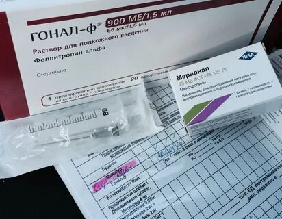 Хумог