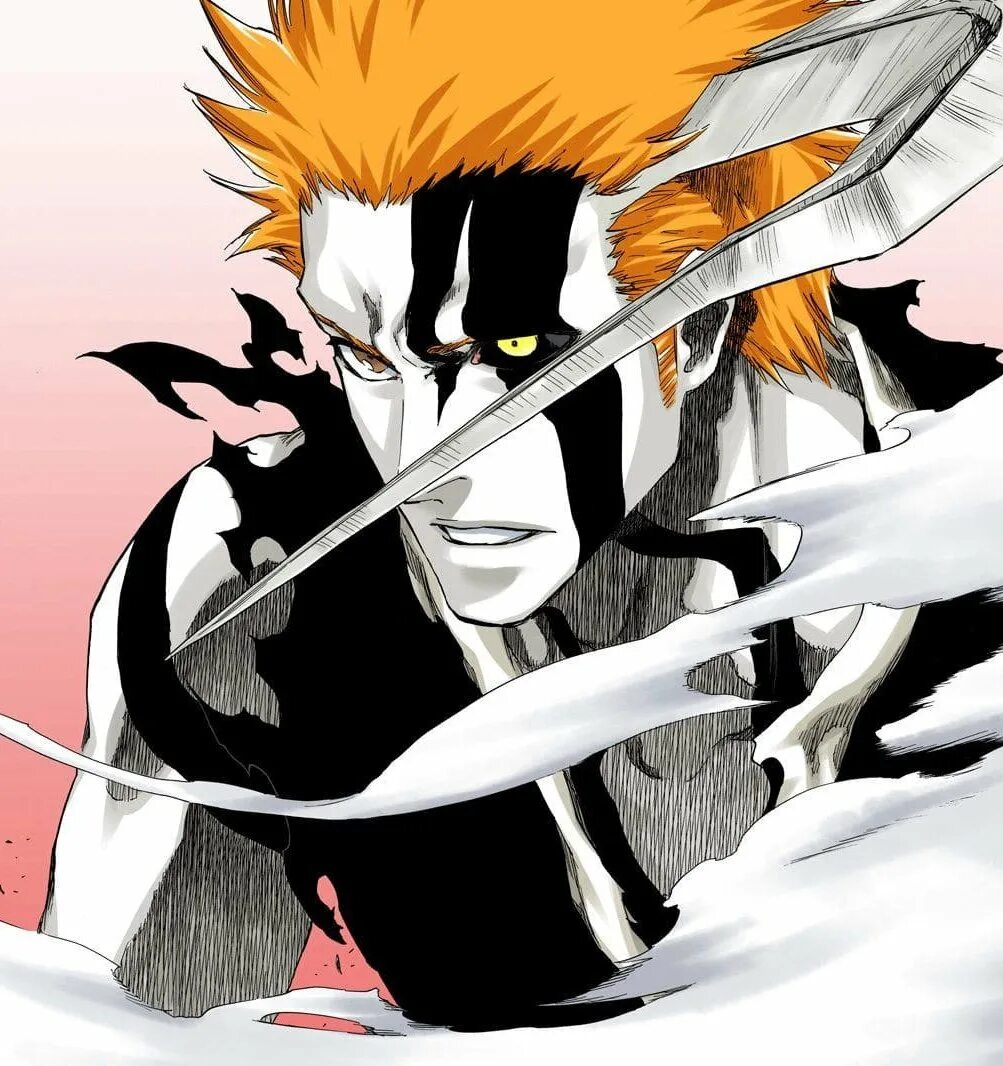 Ичиго Куросаки Квинси. Ичиго Квинси и Шинигами. Bleach Ичиго банкай. Ичиго Куросаки банкай. Йоричи блич