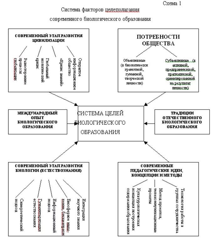 Функции биологического образования. Основные векторы развития образования. Вектор развития современного образования. Основные векторы развития образования в современном обществе. Содержание биологического образования это.