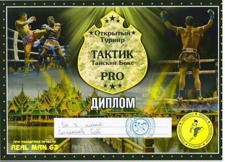 Бокс лицензионный турнир