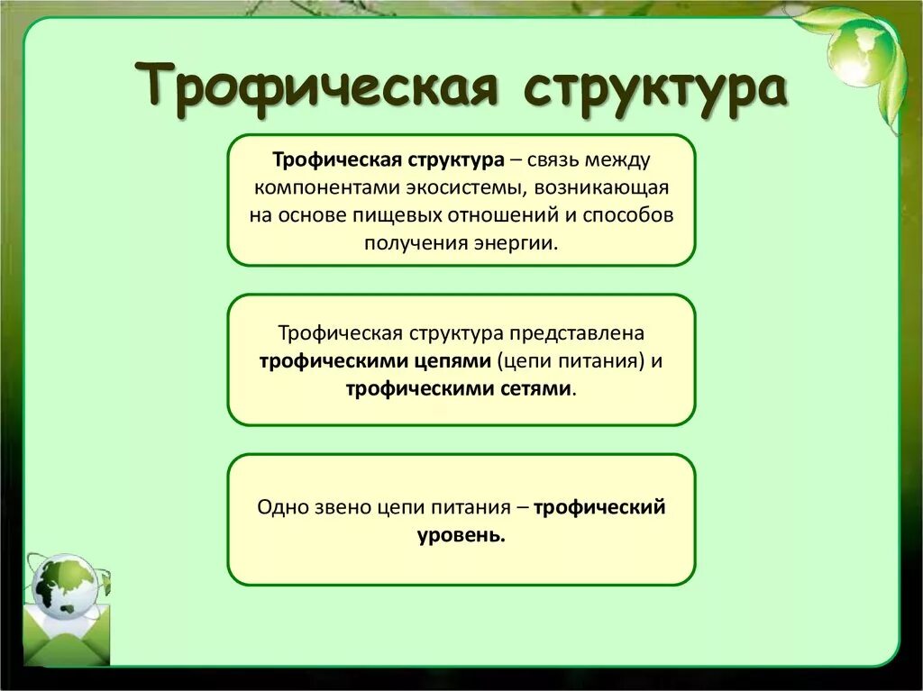 Трофическая структура сообщества. Трофическая структура экосистемы. Тропическая структура сообщества. Трофическая структура биоценоза.